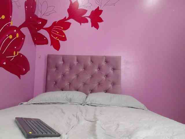 Hamvanessahos webcam