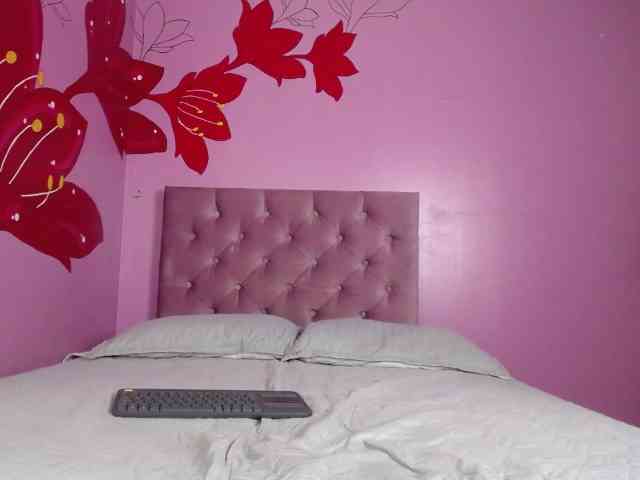 Hamvanessahos webcam