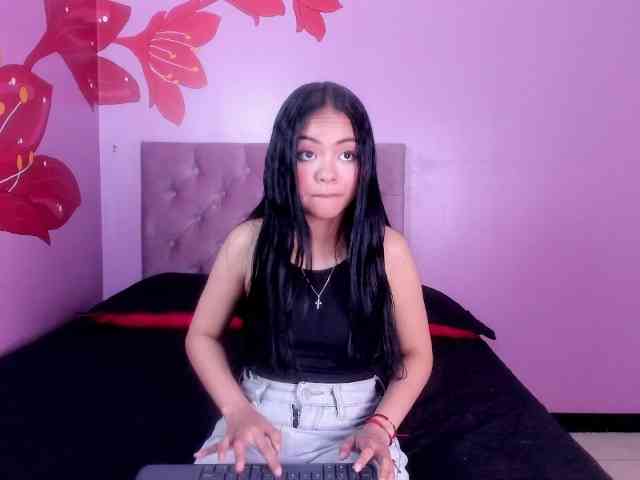 Hamvanessahos webcam