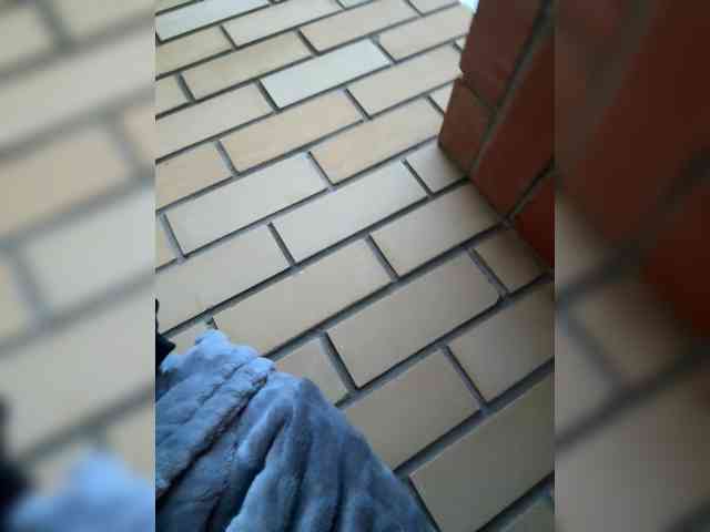 KamiandSerg566 webcam