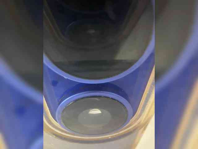 KamiandSerg566 webcam