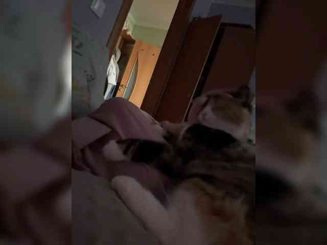 KamiandSerg566 webcam