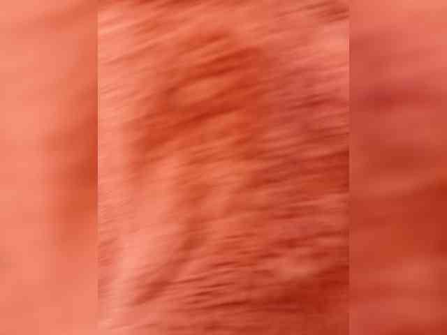 Hottiesophie777 webcam