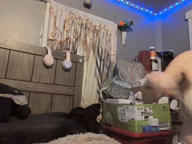 Preview of beautyqueenma