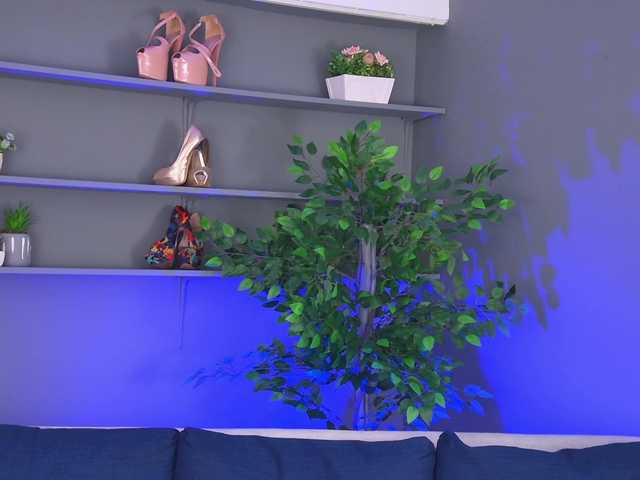 Preview of desimissy