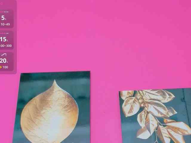 likeblacknuts webcam