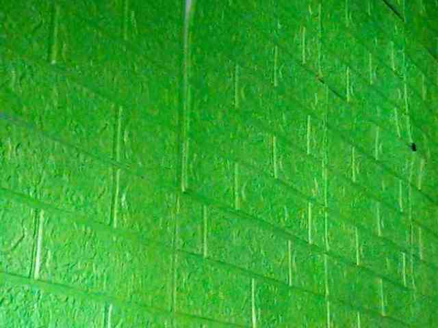 Wildestfantacy webcam