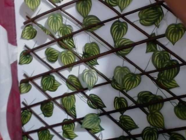 TUCHICA26's BongaCams show and profile