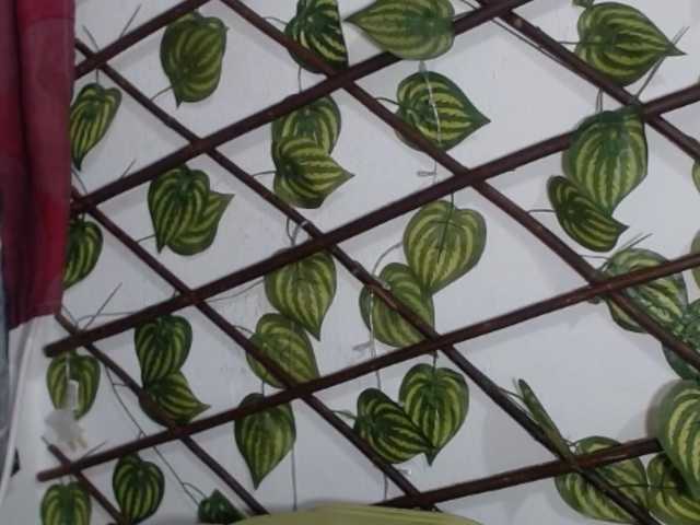 TUCHICA26's BongaCams show and profile