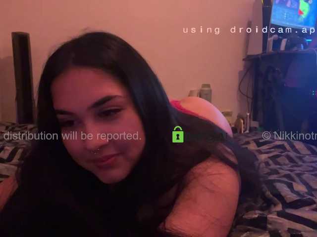 Preview of nikkinotnicki00