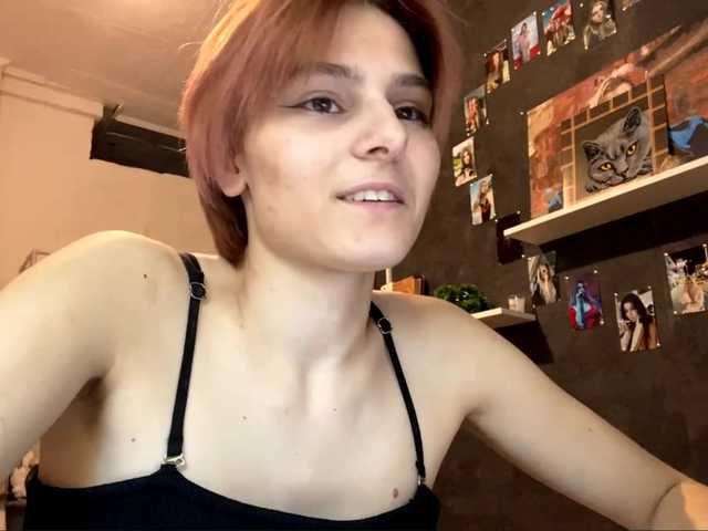 Preview of consuelaharkcom