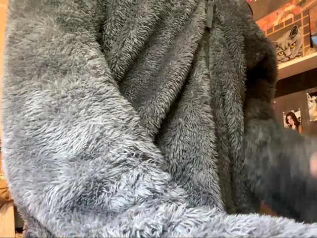 Preview of consuelaharkcom