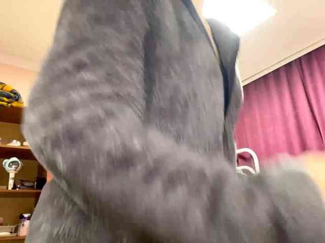 ConsuelaHarkcom webcam