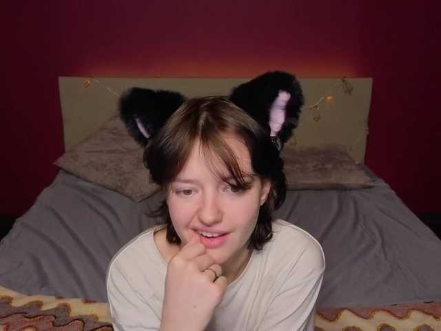 Preview of svenakopni