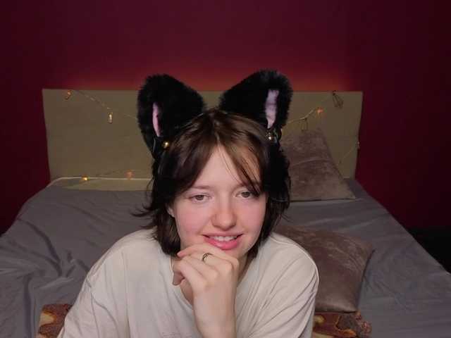 Preview of svenakopni