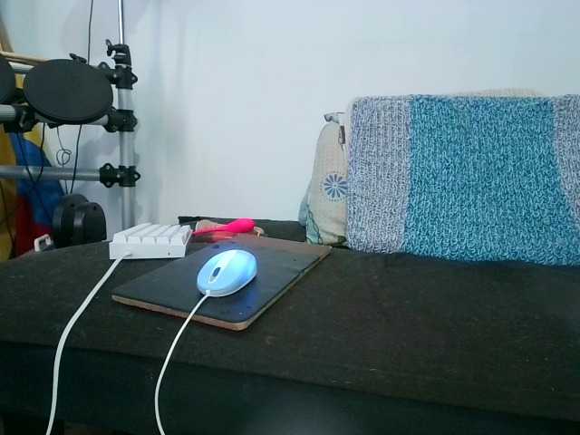 Eliza688's BongaCams show and profile