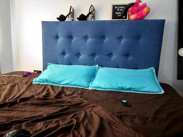 HIMAWARY-SOIN5 webcam