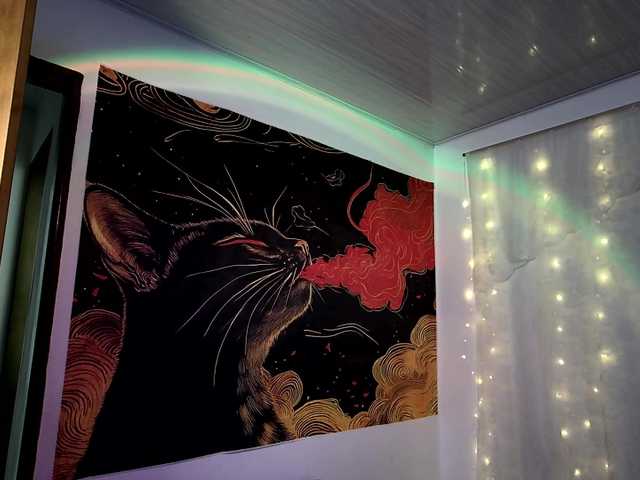 donviktorduo2026's BongaCams profile