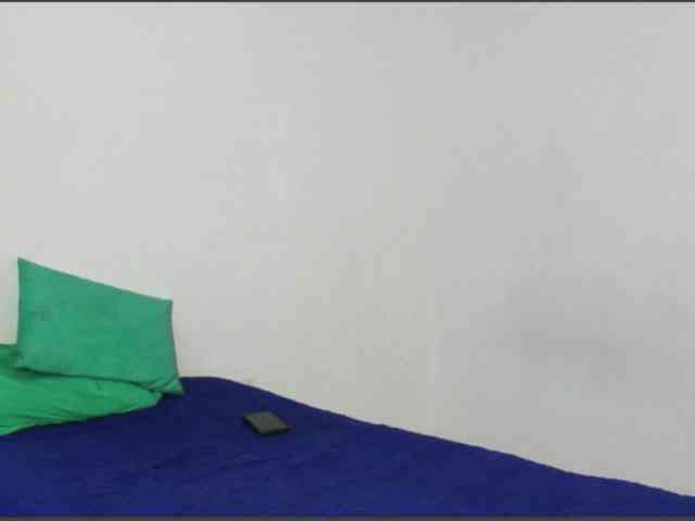 RoseSinsDomViktor webcam