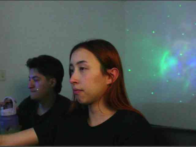 RoseSinsDomViktor webcam