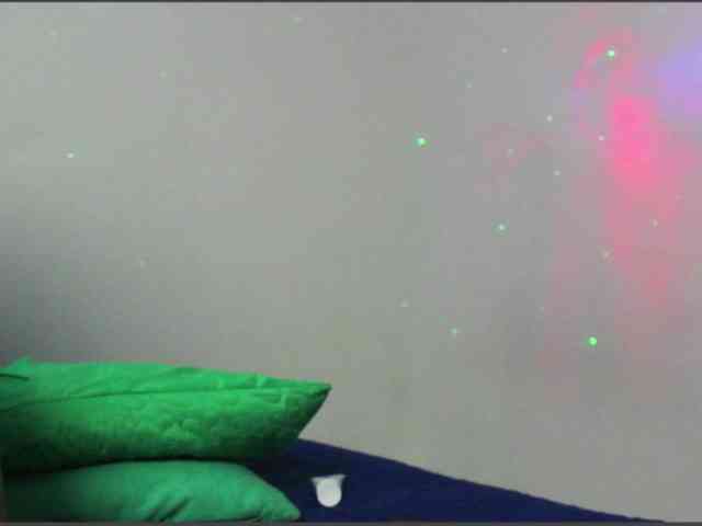 RoseSinsDomViktor webcam