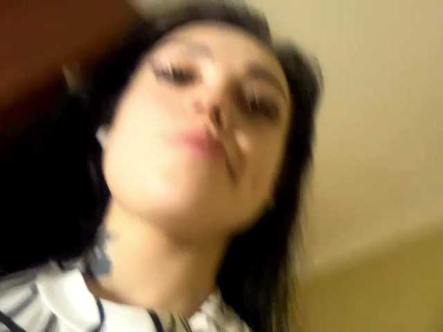 Preview of mollyrooth