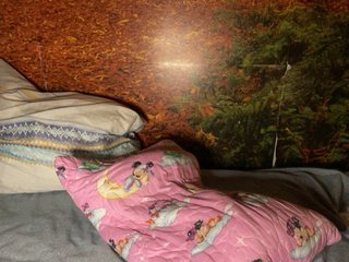 Lolla-sexya Porn Show