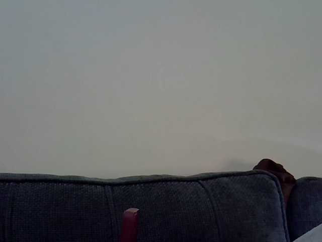 Cayvaal's BongaCams show and profile