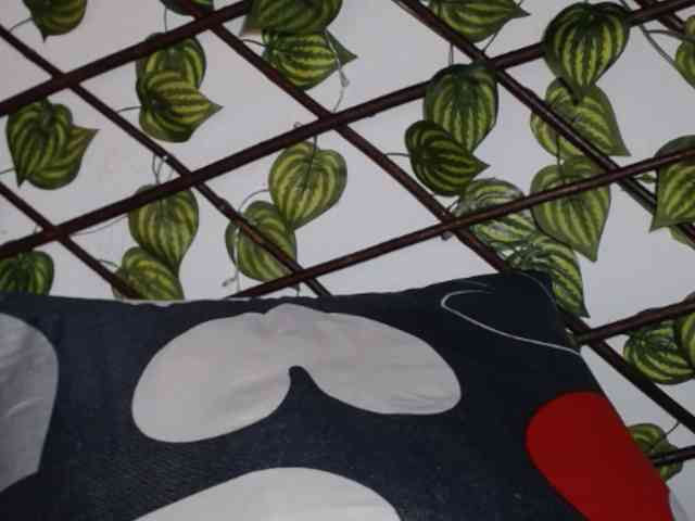 Kendry-1 Live Webcam on BongaCams