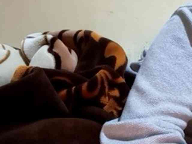 Ammar20i