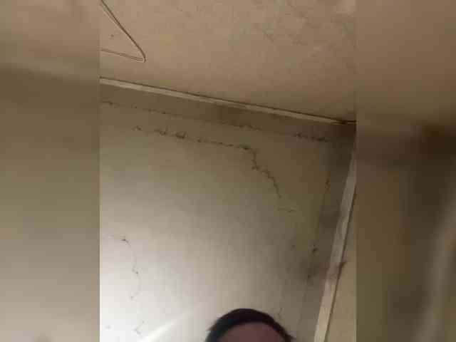 avvgeel Live Webcam on BongaCams