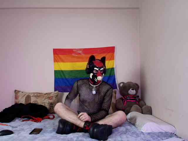 K9GoodBoy Live Webcam on BongaCams