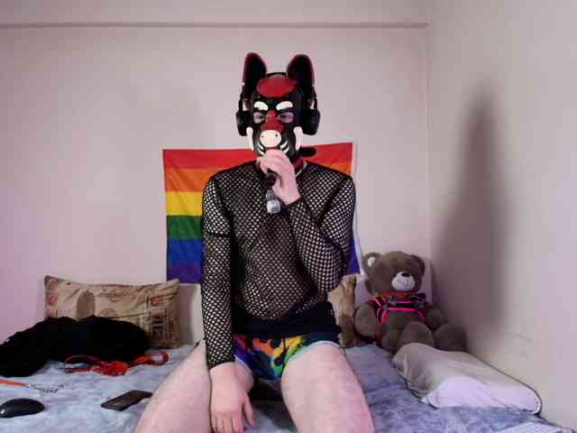 K9GoodBoy Live Webcam on BongaCams