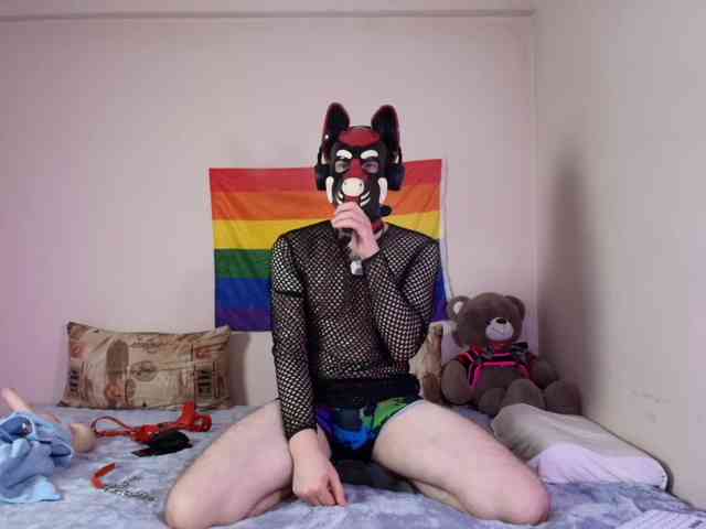 K9GoodBoy Live Webcam on BongaCams