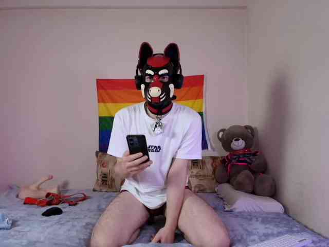 K9GoodBoy Live Webcam on BongaCams