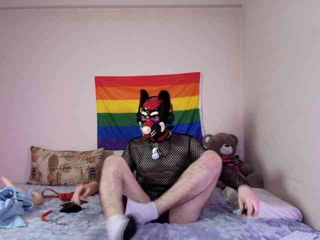 K9GoodBoy Live Webcam on BongaCams