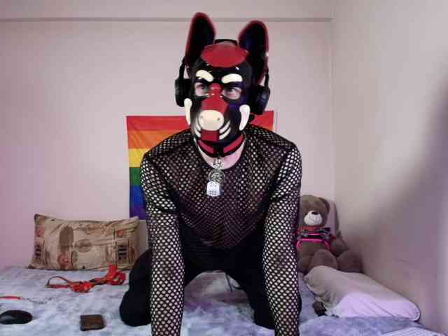 K9GoodBoy Live Webcam on BongaCams