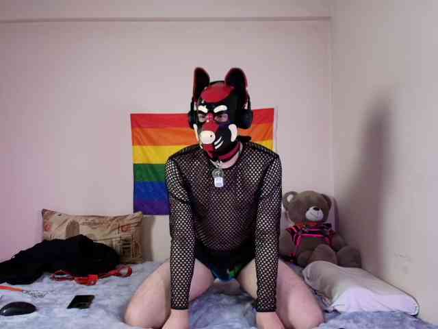 K9GoodBoy Live Webcam on BongaCams