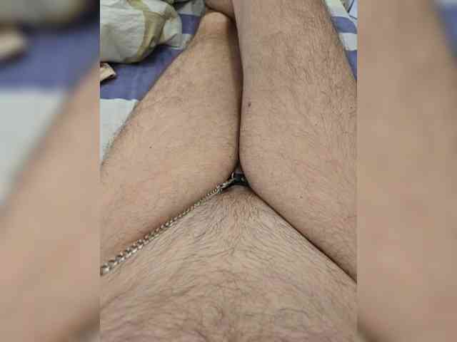 Falos123