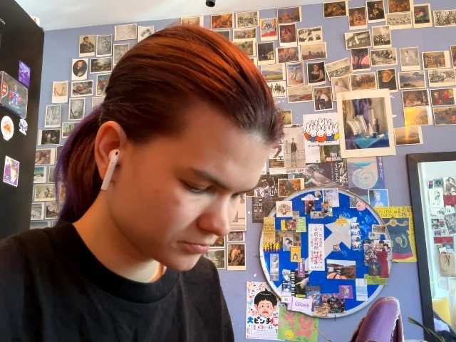 Preview of vernieronco