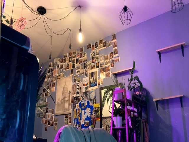 VernieRonco's BongaCams show and profile