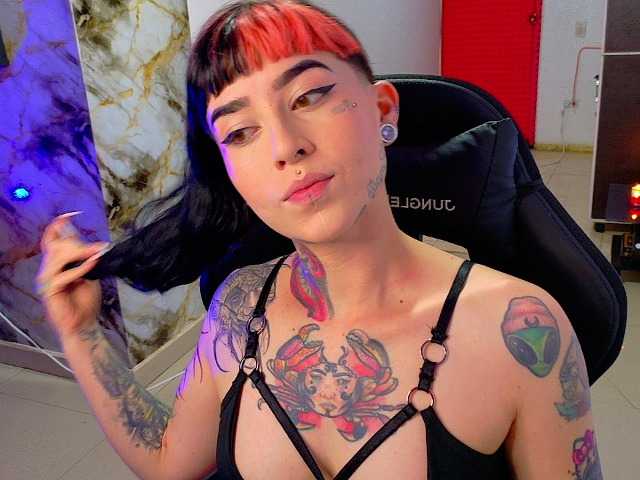 Preview of nova-kitty