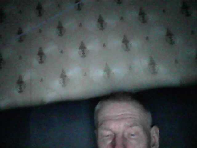 Profile and Statistics for FOX121351 on BongaCams