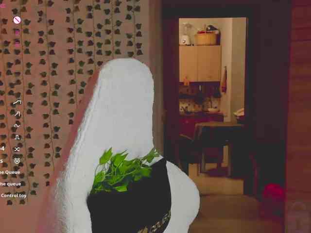 AnnaSebastian webcam