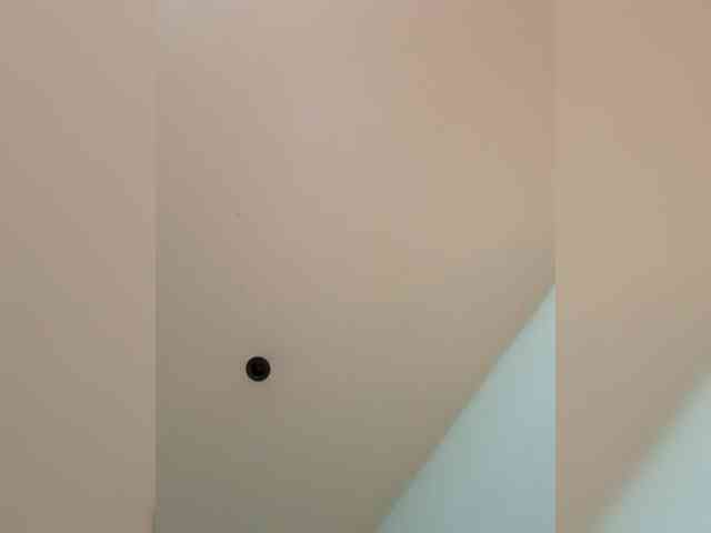 Antonysmit Antonysmit