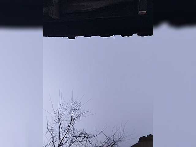 OpenGirl's BongaCams show and profile