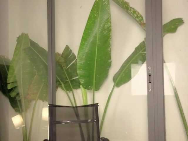 Preview of tsukihikari