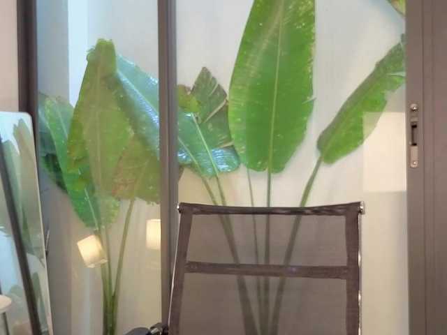 Preview of tsukihikari