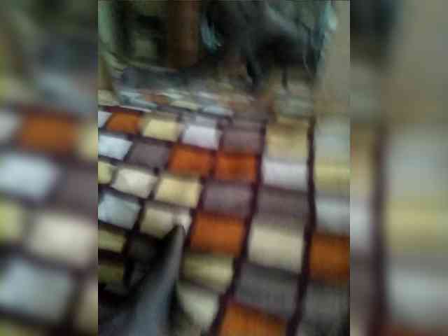 PerfectVice Live Webcam on BongaCams