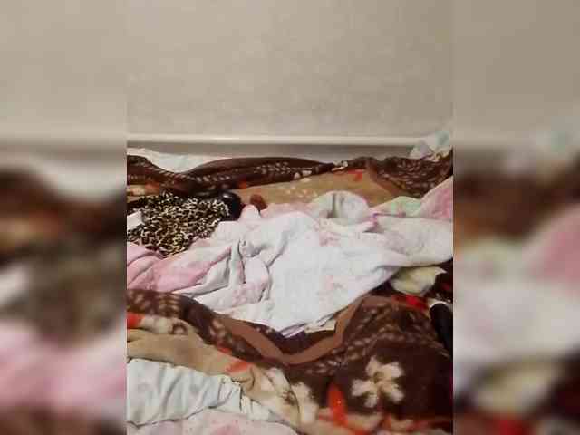 Lida7 Live Webcam on BongaCams